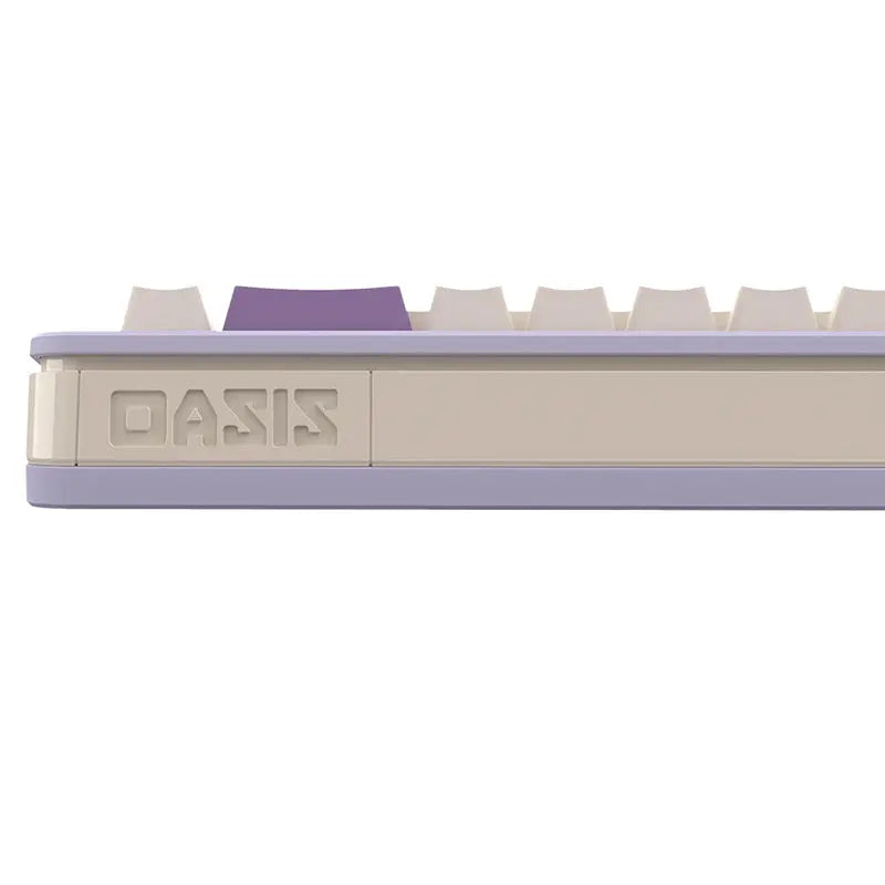 BACKSPACE OASIS 65 Tri-mode Wireless Keyboard DIY Kit - keycapcovers