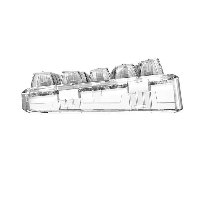 CoolKiller CK68 Polar Bear Transparent Wireless Mechanical Keyboard - keycapcovers