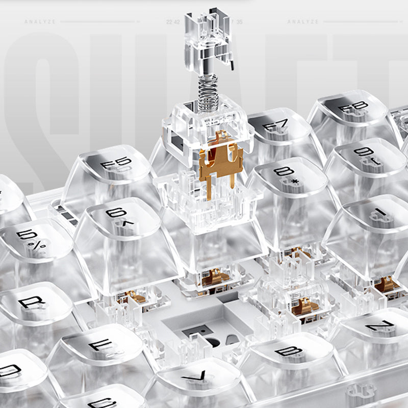 WhatGeek x Machenike K500F-B81 RGB Clear Mechanical Keyboard - keycapcovers